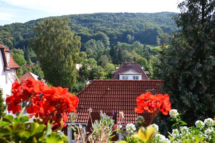 Villa Sonnenseite Jonsdorf Екстериор снимка